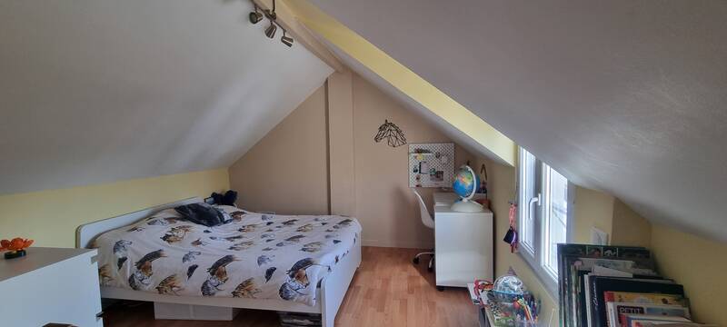 Carnetin (77400)