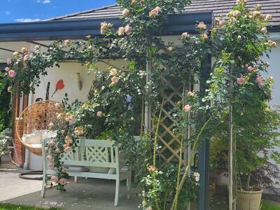 Vente maison 5 pièces Saint-Goin (64400)
