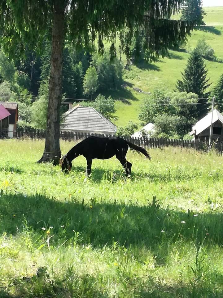 Roumanie