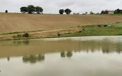 Montbrun-Lauragais (31450)