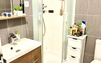 Maison À Vendre Lac Dse Bretonnières Joué-Lès-Tours (37300)