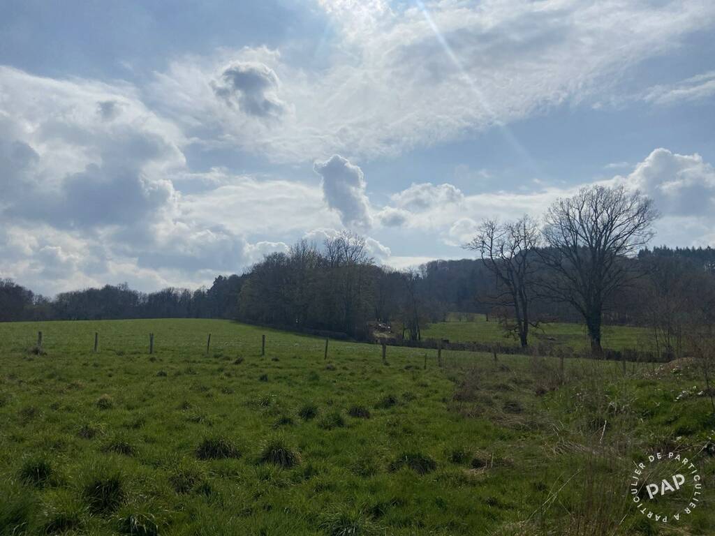 Terrain 
