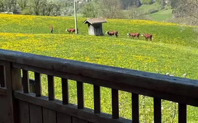 Habère-Lullin (74420)