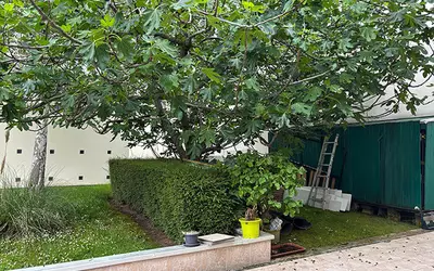 Montrouge