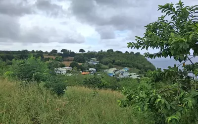 Le Carbet (97221)