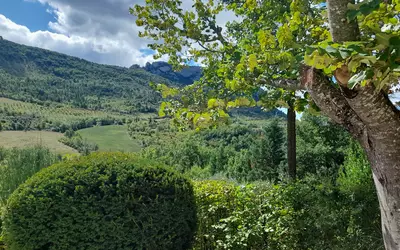 La Roche-Sur-Le-Buis (26170)
