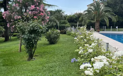 Cannes (06150)