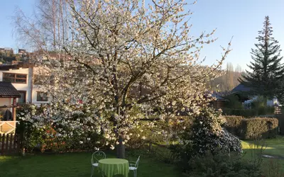 Juziers (78820)