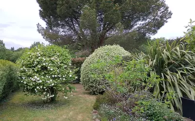 Larmor-Baden (56870)