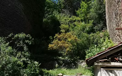 Saint-Étienne (42000)