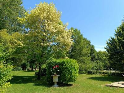 Vente maison 6 pièces Préfontaines (45490)