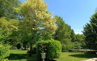 Préfontaines (45490)