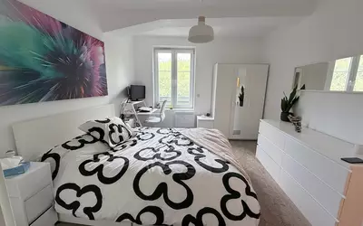 Saint-Witz (95470)
