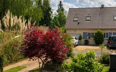 Saint-Ouen-Sur-Morin (77750)