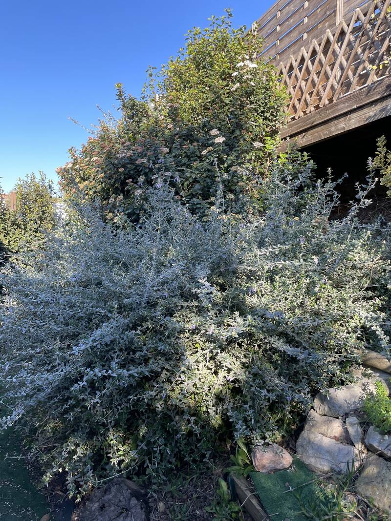 Vendres (34350)
