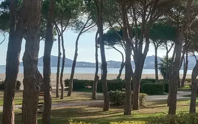 Argelès-Sur-Mer (66700)