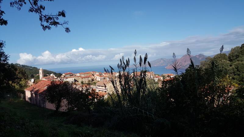 Piana (20115)