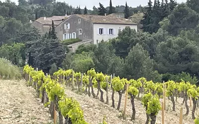 Bages (11100)
