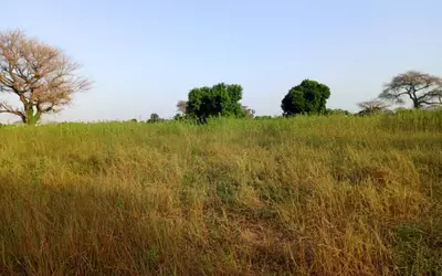 Sénégal