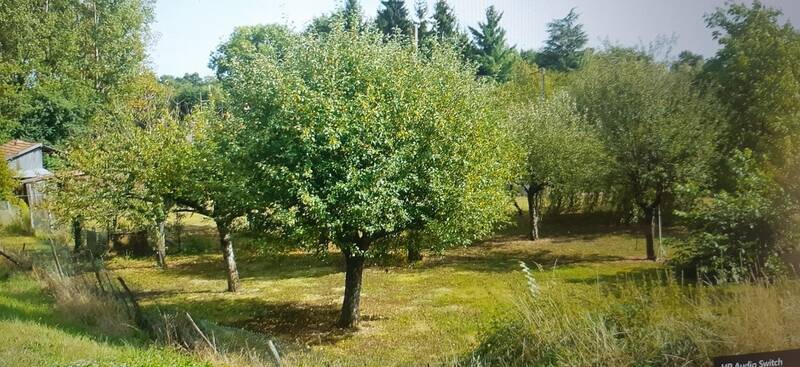 Pierrefitte-Sur-Loire (03470)