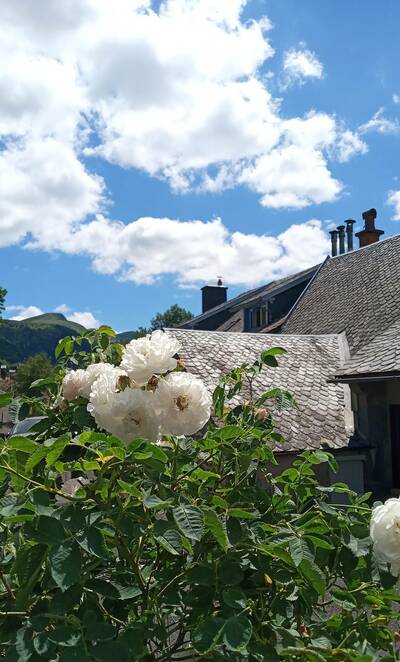 Vente maison 2 pièces Mont-Dore (63240)