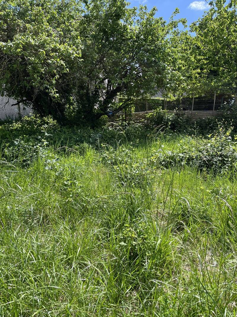 Gif-Sur-Yvette (91190)
