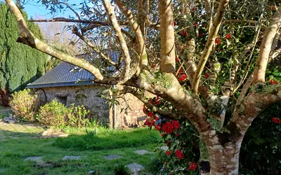 Moëlan-Sur-Mer (29350)