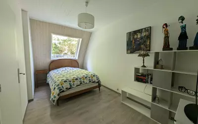 Saintry-Sur-Seine (91250)