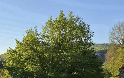 Sainte-Marie-Sur-Ouche (21410)