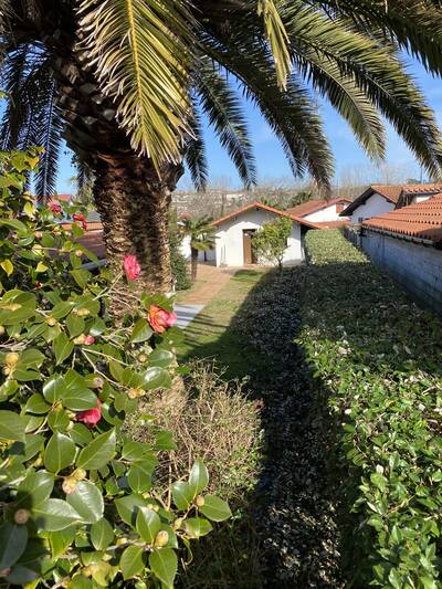 Vente maison 4 pièces Bidart (64210)