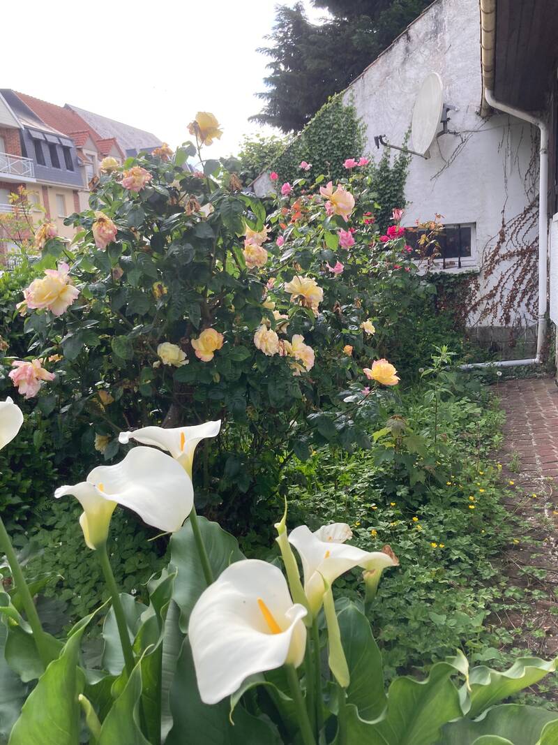 Saint-Valery-Sur-Somme (80230)