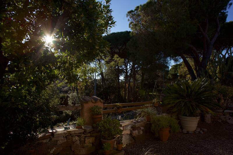 Fréjus (83600)