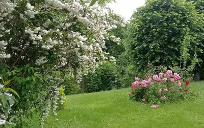 Bourbon-L'archambault (03160)