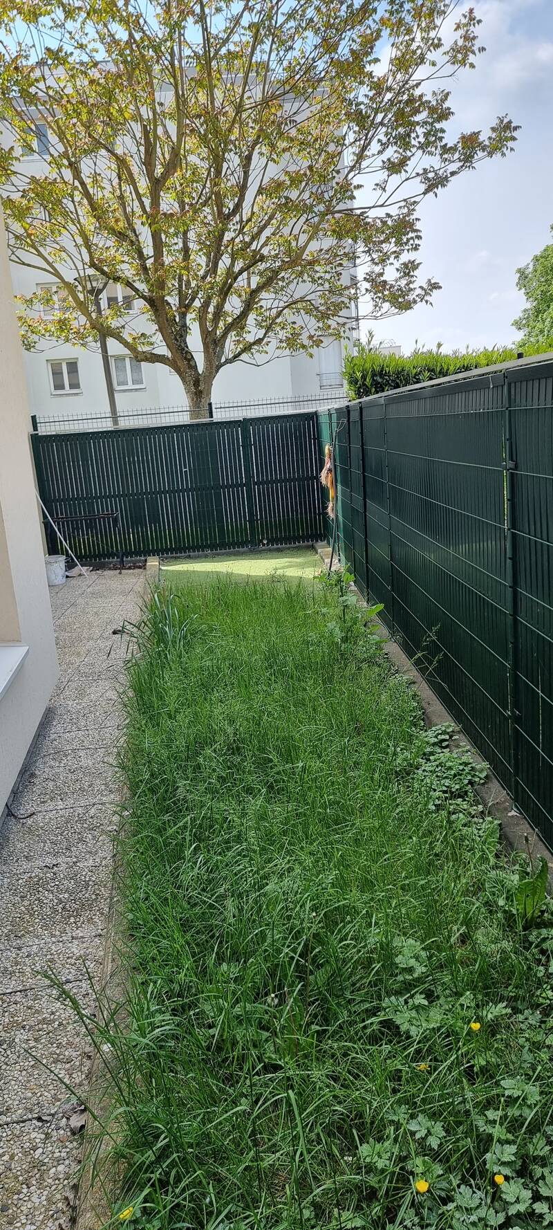 Torcy (77200)