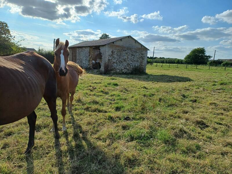 Les Essarts-Le-Vicomte (51310)
