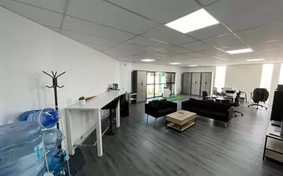 Noiseau