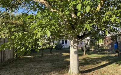 Lancieux (22770)