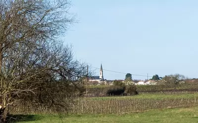 Vallet (44330)