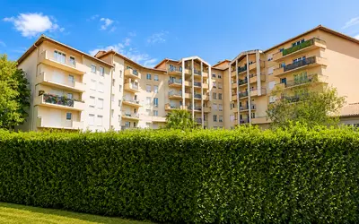 Toulouse (31000)