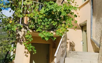 Villeperdrix (26510)