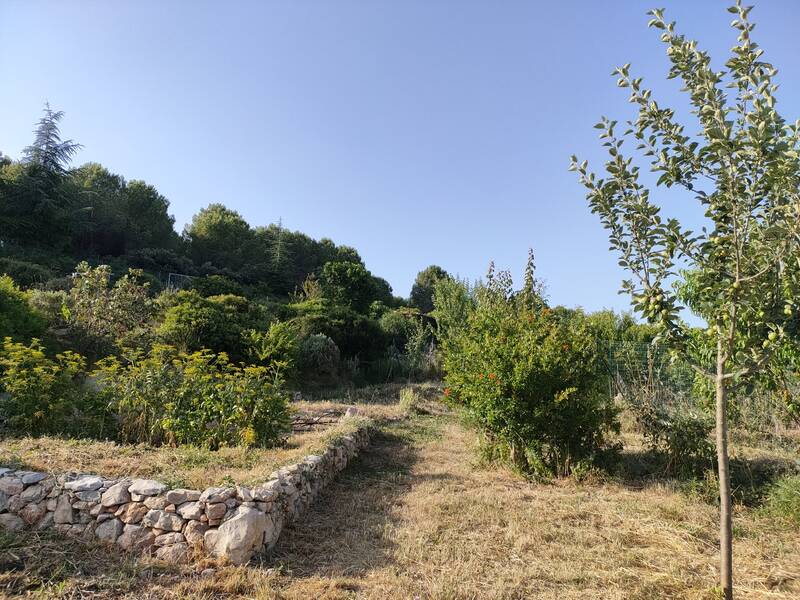 Pignan (34570)