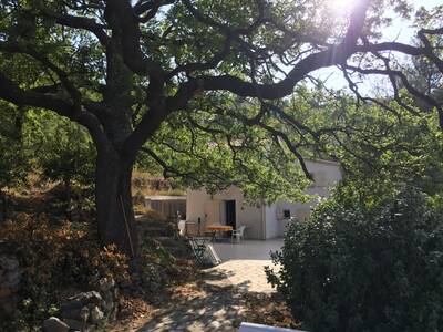Vente maison 6 pièces Hyères (83400)