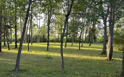 Varennes-Changy (45290)