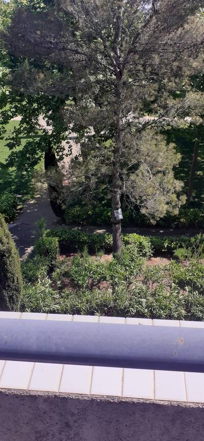 Vente appartement 3 pièces Montpellier (34)