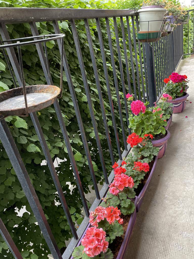 Issy-Les-Moulineaux (92130)