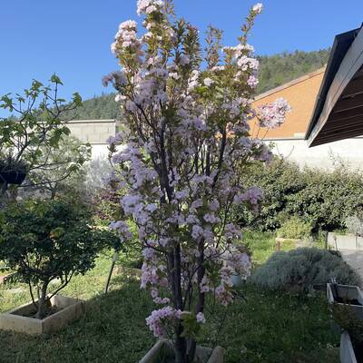 Vente maison 5 pièces Annonay (07100)