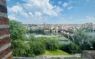 Albi (81000)
