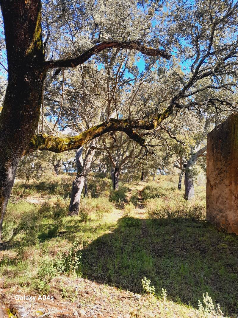 Espagne