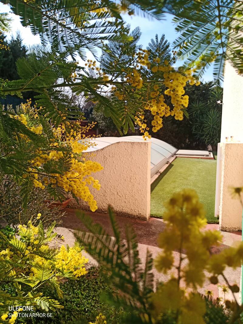 Argens-Minervois (11200)