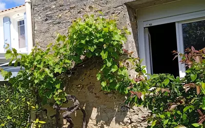 Le Château-D'oléron (17480)